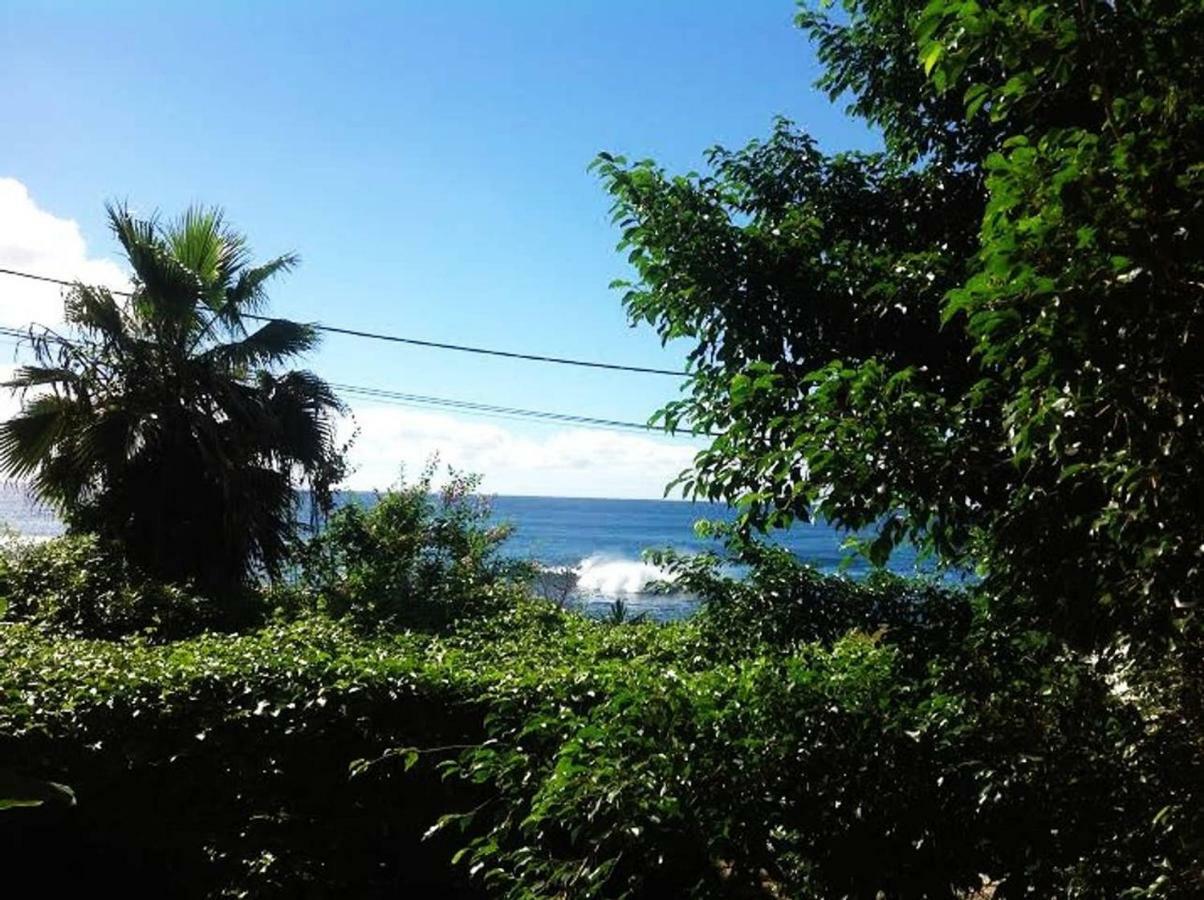 Charming 2Br Guest Suite With Ocean View Praia Zewnętrze zdjęcie